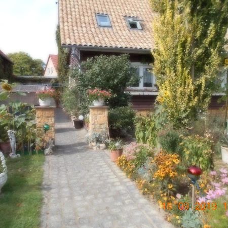 Vermiete Sehr Schoenes Apartment In Dankerode Im Harz Eksteriør bilde