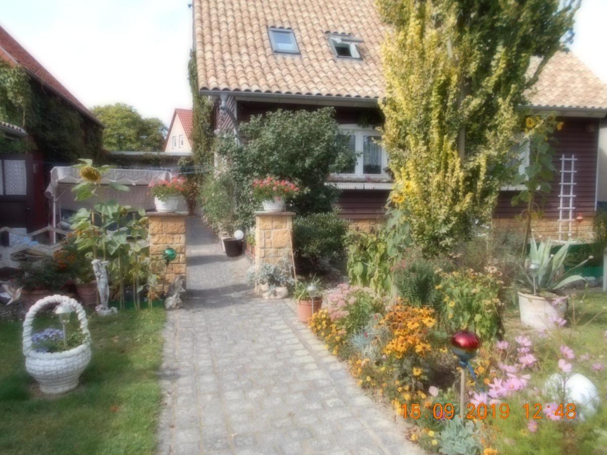 Vermiete Sehr Schoenes Apartment In Dankerode Im Harz Eksteriør bilde