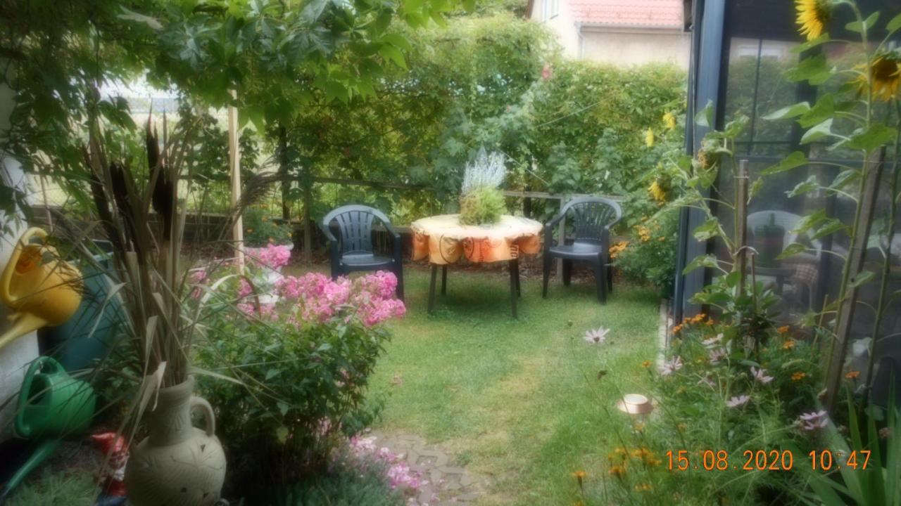 Vermiete Sehr Schoenes Apartment In Dankerode Im Harz Eksteriør bilde