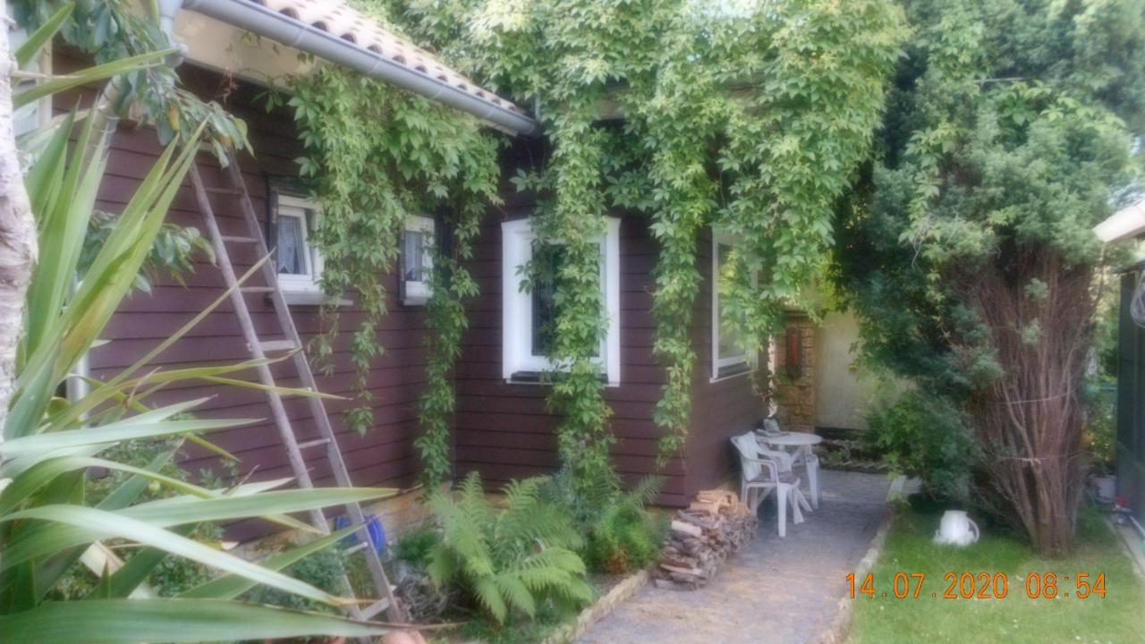Vermiete Sehr Schoenes Apartment In Dankerode Im Harz Eksteriør bilde