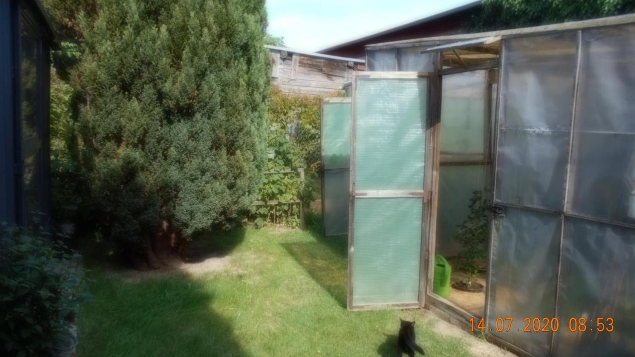 Vermiete Sehr Schoenes Apartment In Dankerode Im Harz Eksteriør bilde