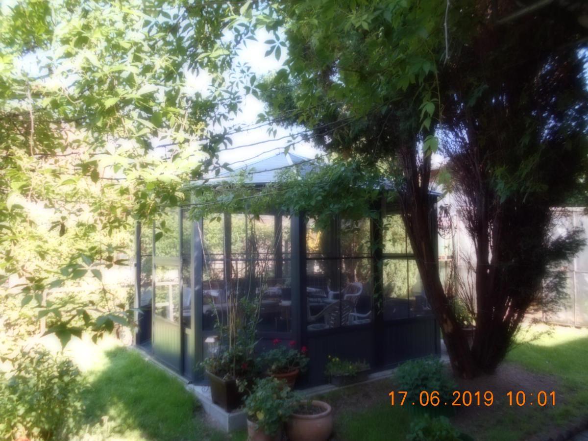 Vermiete Sehr Schoenes Apartment In Dankerode Im Harz Eksteriør bilde