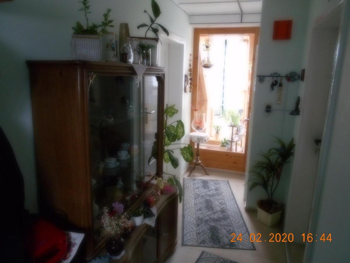 Vermiete Sehr Schoenes Apartment In Dankerode Im Harz Eksteriør bilde