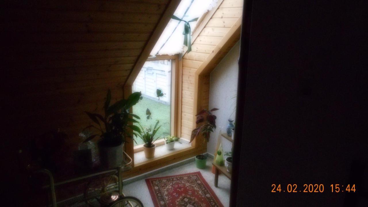Vermiete Sehr Schoenes Apartment In Dankerode Im Harz Eksteriør bilde