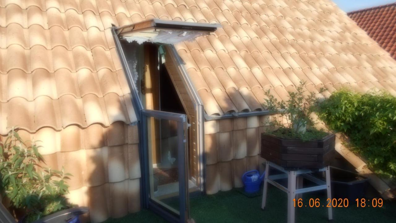 Vermiete Sehr Schoenes Apartment In Dankerode Im Harz Eksteriør bilde